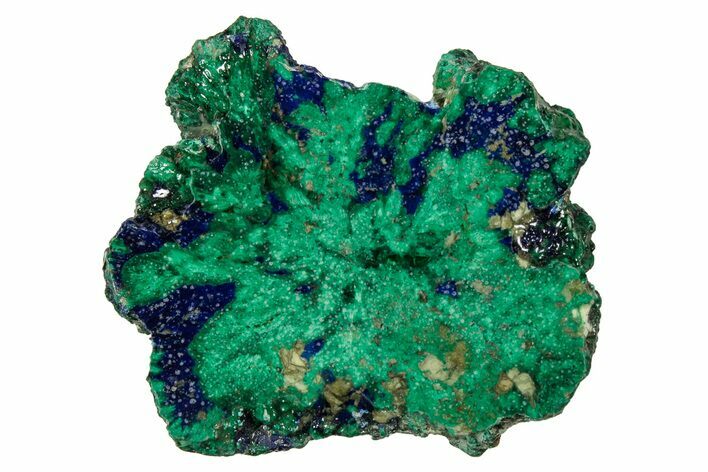 Vivid Green, Cut/Polished Malachite & Azurite Nodule - Siberia #335239